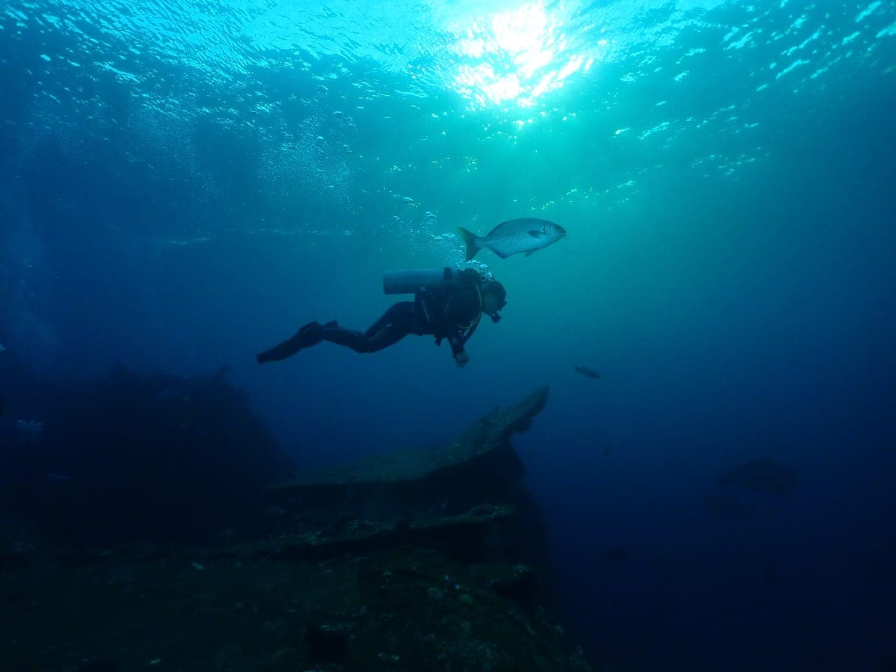 Scuba diver exploring a shipwreck with a fish swimming nearby under the ocean's surface.